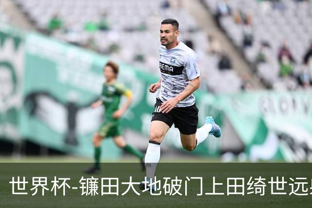 世界杯-镰田大地破门上田绮世远射建功 半场日本2-0突尼斯